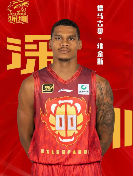 德马吉奥·维金斯