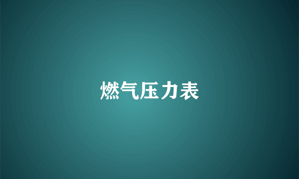 燃气压力表