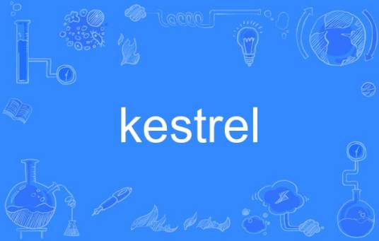 kestrel（英语单词）