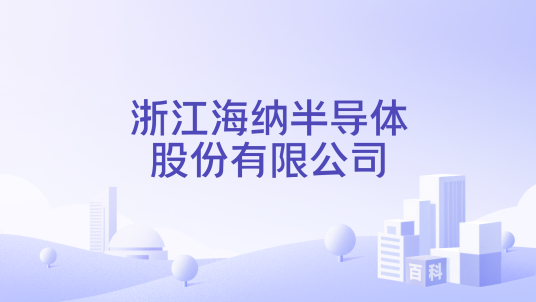 浙江海纳半导体股份有限公司