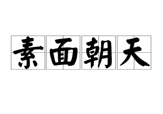 素面朝天（汉语成语）