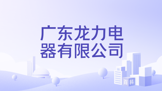 广东龙力电器有限公司