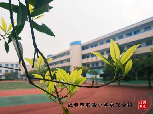 成都市石室联中132学校