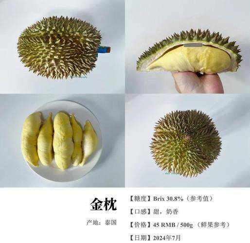 金枕头榴莲