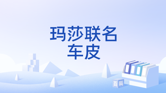玛莎联名车皮