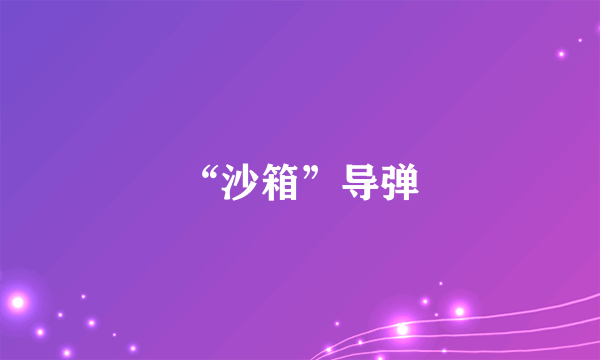 “沙箱”导弹
