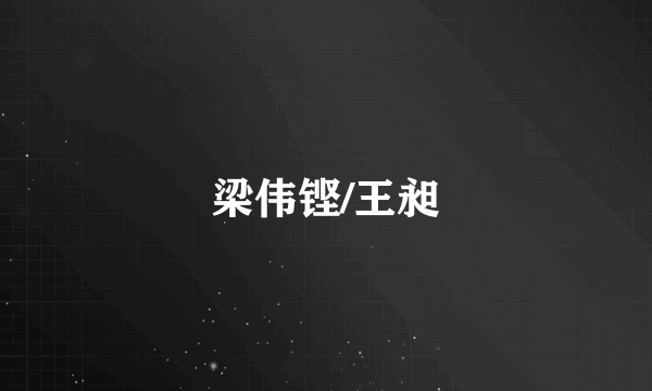 梁伟铿/王昶