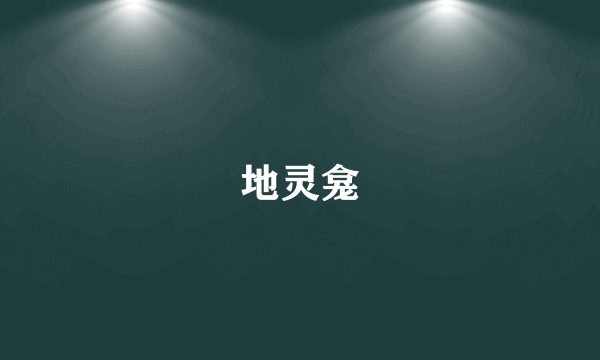 地灵龛