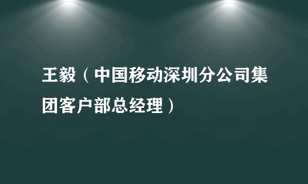 王毅（中国移动深圳分公司集团客户部总经理）