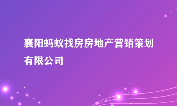 襄阳蚂蚁找房房地产营销策划有限公司