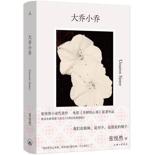 大乔小乔（2024年上海三联书店出版的图书）