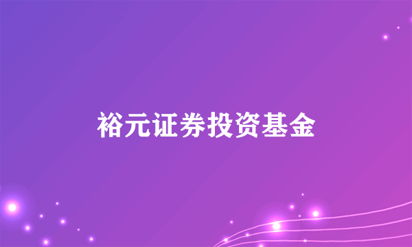 裕元证券投资基金