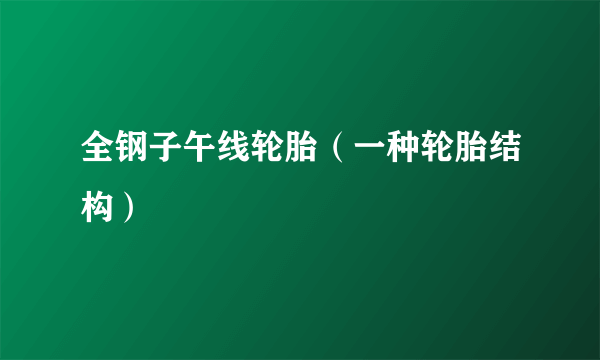 全钢子午线轮胎（一种轮胎结构）