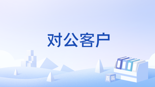 对公客户