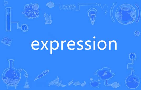 expression（英语单词）