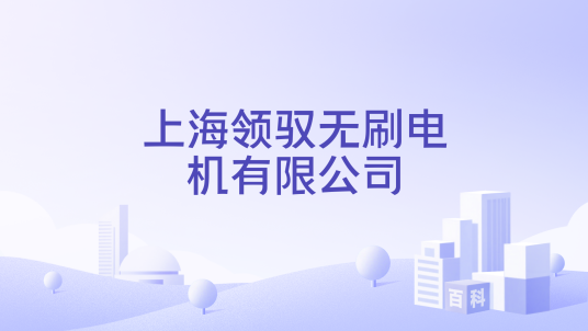上海领驭无刷电机有限公司