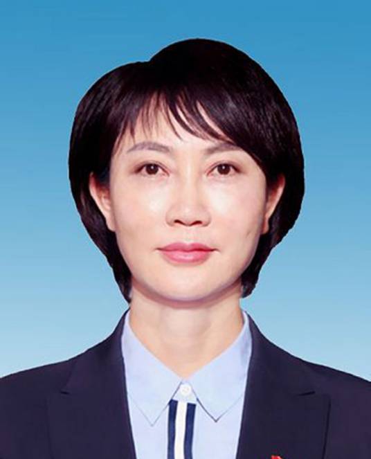 夏琼（云南省纪委监委驻省卫生健康委员会纪检监察组组长）