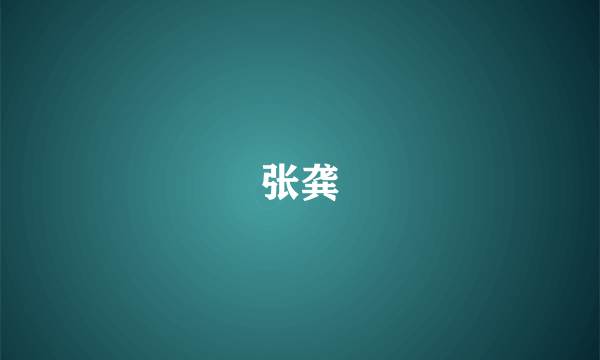张龚