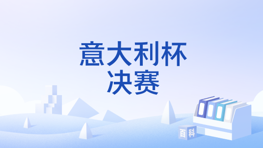 意大利杯决赛