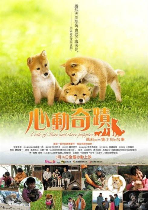 玛莉和它的孩子们的故事