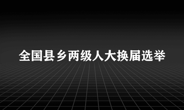 全国县乡两级人大换届选举
