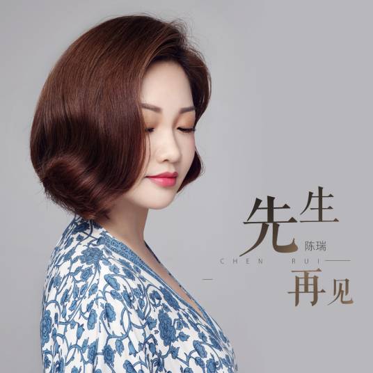 先生再见（陈瑞演唱歌曲）