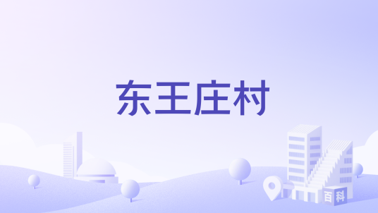 东王庄村（山西省大同市平城区小南头街道东王庄村）
