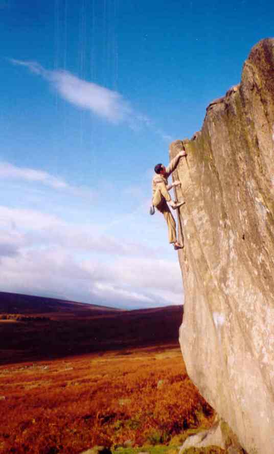 View（英文单词）