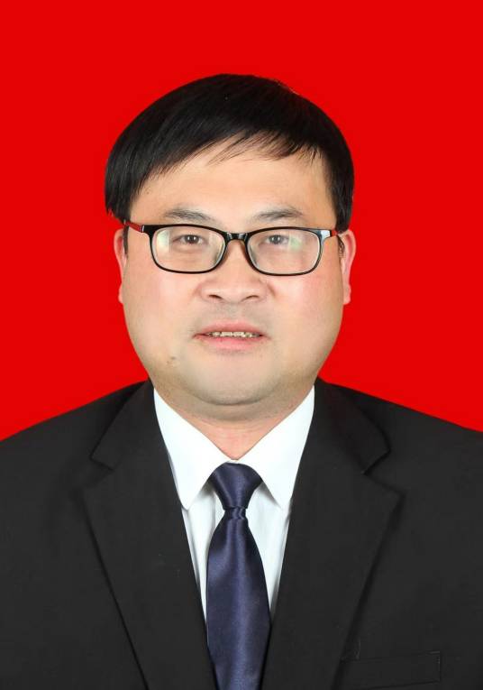 王玉军（湖南省株洲市茶陵县委常委、县委副书记、组织部长）
