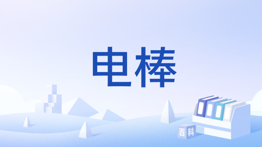 电棒（文化术语）