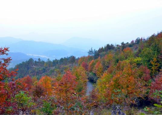 吴家山（湖北省武汉市东西湖区的山）