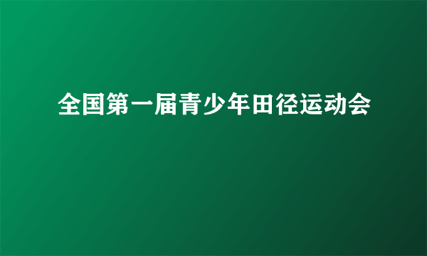 全国第一届青少年田径运动会
