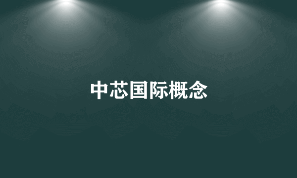 中芯国际概念