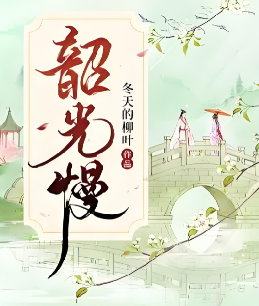 韶光慢（电视剧）