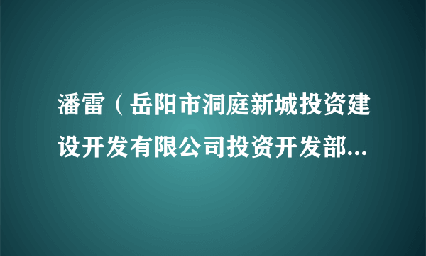 潘雷（岳阳市洞庭新城投资建设开发有限公司投资开发部原部长）