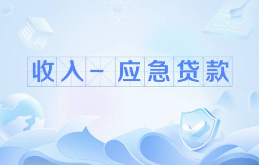 收入-应急贷款