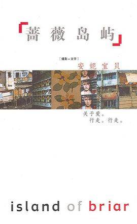 蔷薇岛屿（2002年作家出版社出版的书籍）