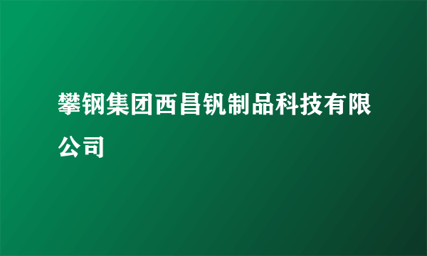 攀钢集团西昌钒制品科技有限公司