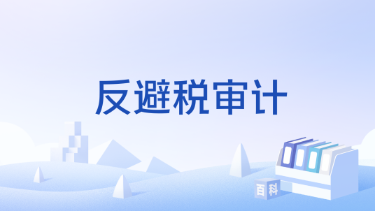 反避税审计
