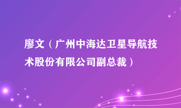 廖文（广州中海达卫星导航技术股份有限公司副总裁）