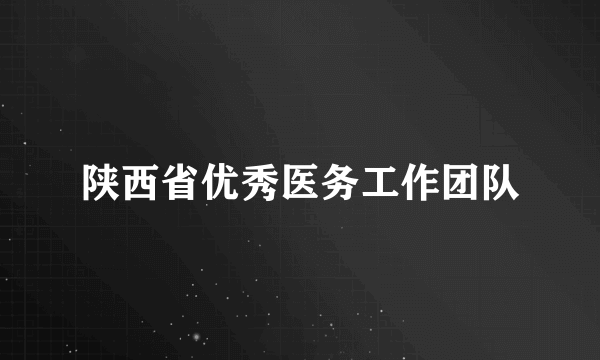 陕西省优秀医务工作团队