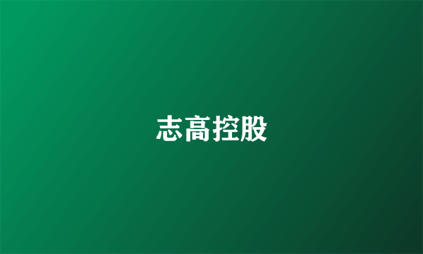 志高控股