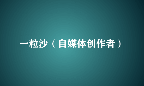 一粒沙（自媒体创作者）