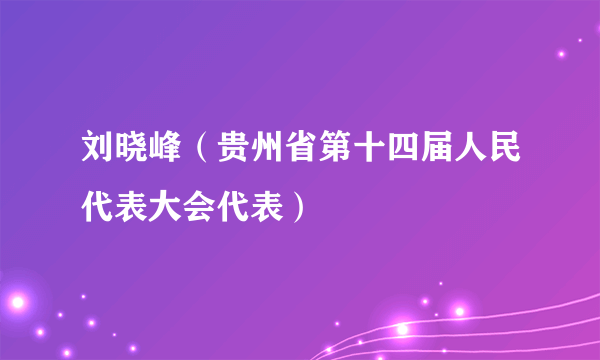 刘晓峰（贵州省第十四届人民代表大会代表）