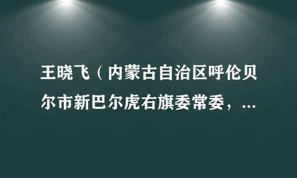 王晓飞（内蒙古自治区呼伦贝尔市新巴尔虎右旗委常委，政府副旗长）