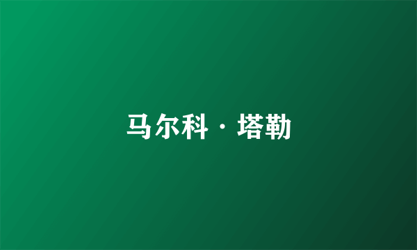 马尔科·塔勒