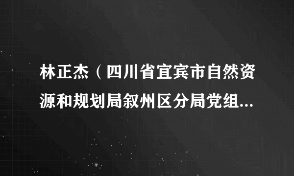 林正杰（四川省宜宾市自然资源和规划局叙州区分局党组成员、总规划师）