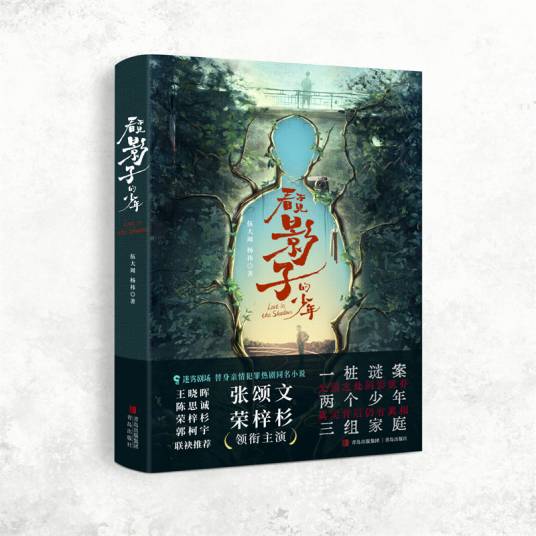 看不见影子的少年（2024年青岛出版社出版的图书）