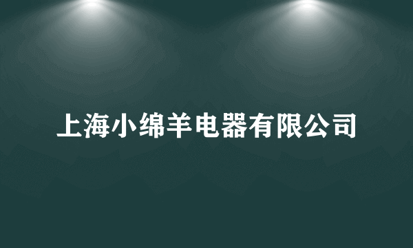 上海小绵羊电器有限公司