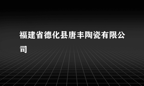 福建省德化县唐丰陶瓷有限公司